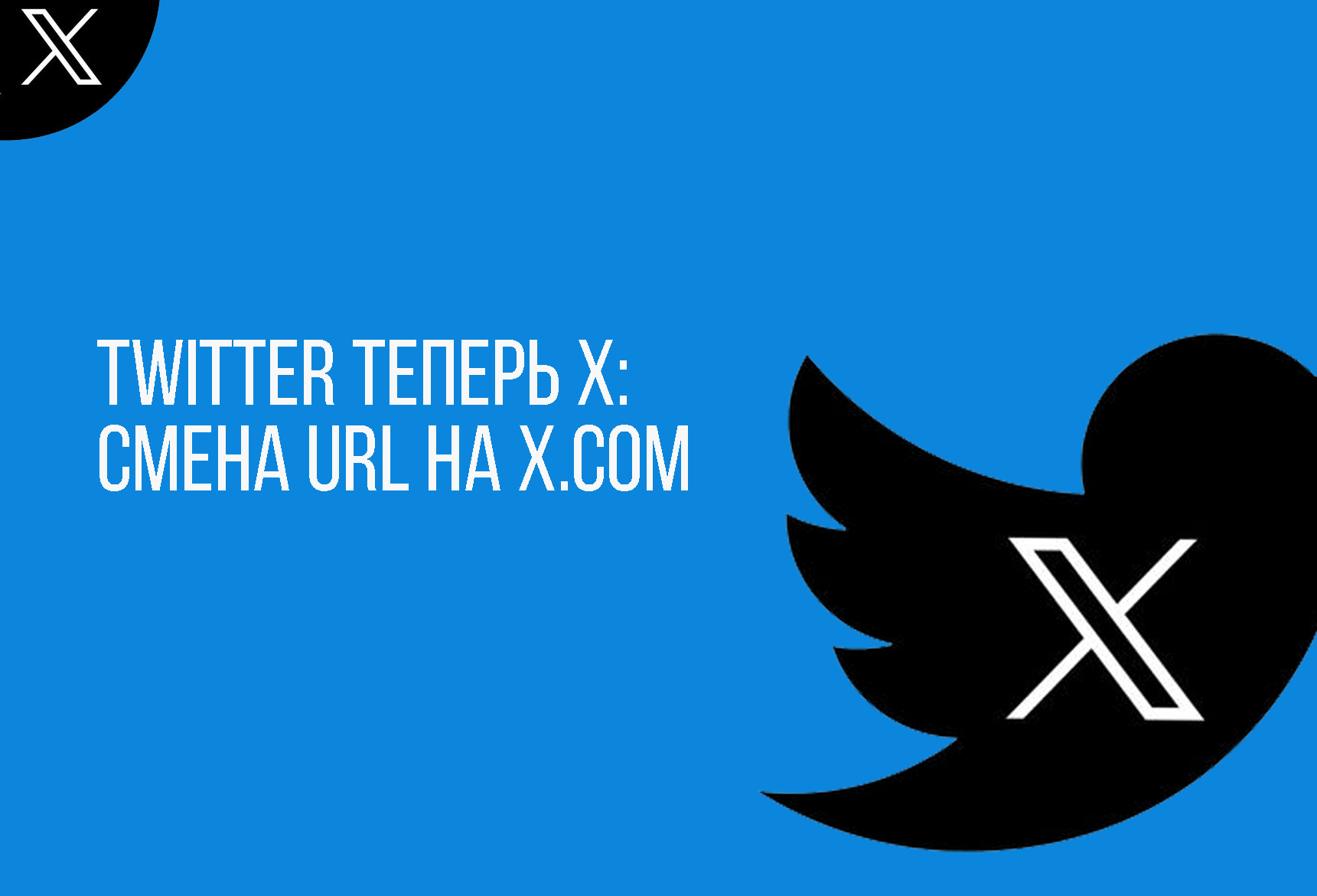 TWITTER ТЕПЕРЬ X: СМЕНА URL НА X.COM | Блог компании ArtisMedia